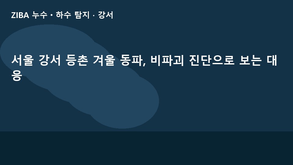 서울 강서 등촌 겨울 동파, 비파괴 진단으로 보는 대응