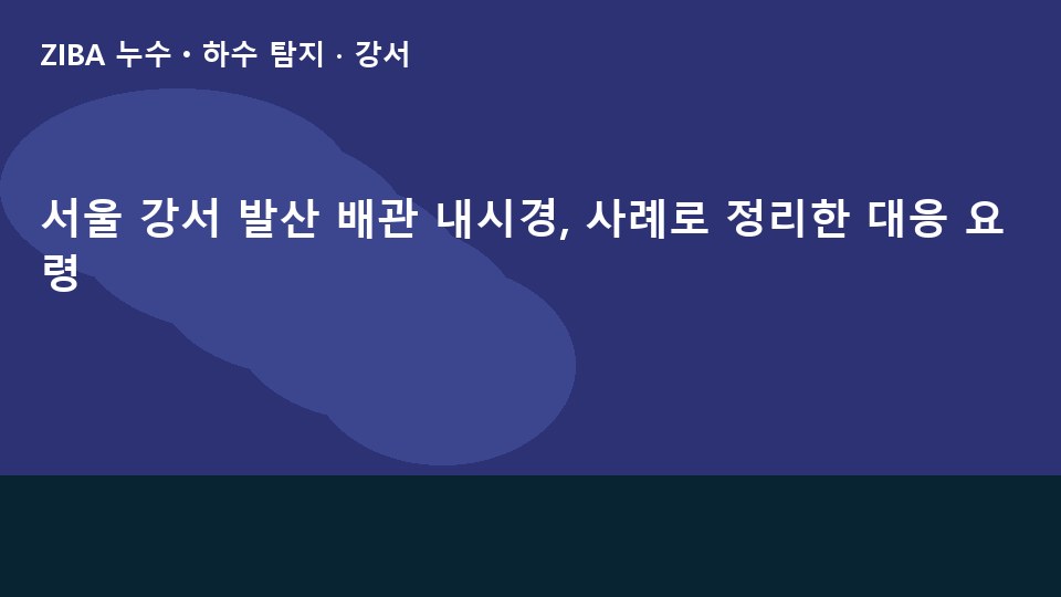 서울 강서 발산 배관 내시경, 사례로 정리한 대응 요령