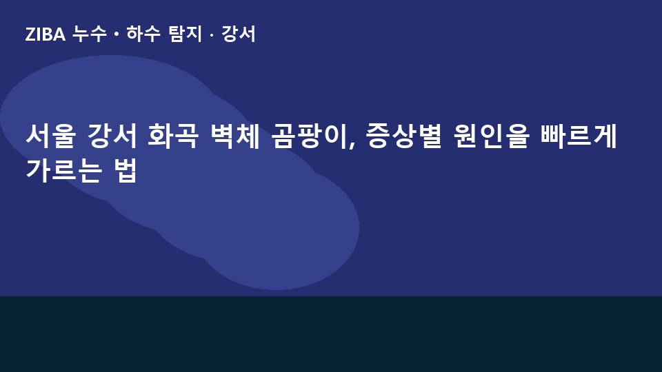 서울 강서 화곡 벽체 곰팡이, 증상별 원인을 빠르게 가르는 법
