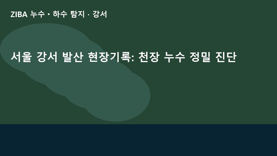 서울 강서 발산 현장기록: 천장 누수 정밀 진단