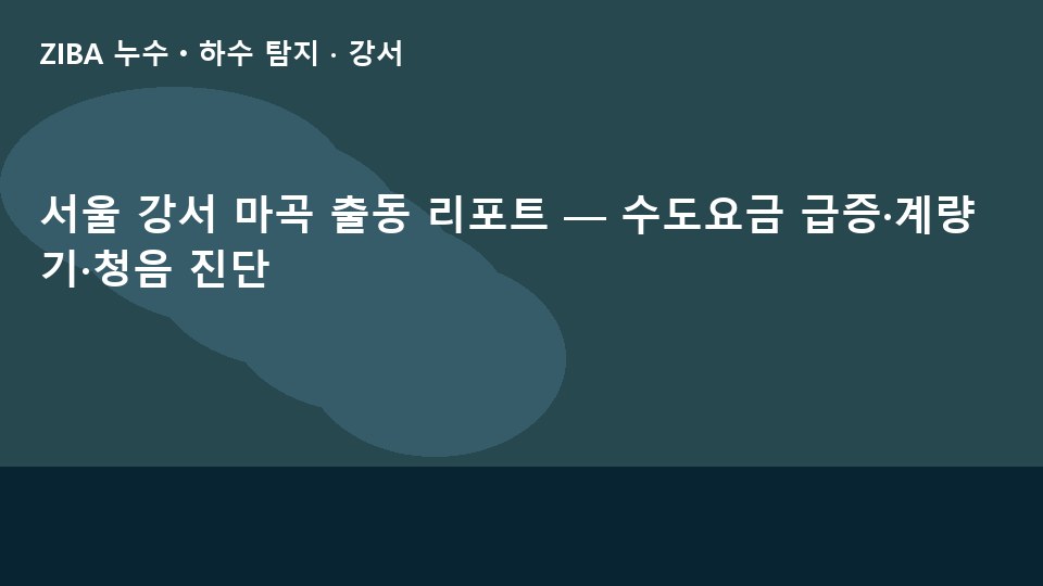 서울 강서 마곡 출동 리포트 — 수도요금 급증·계량기·청음 진단