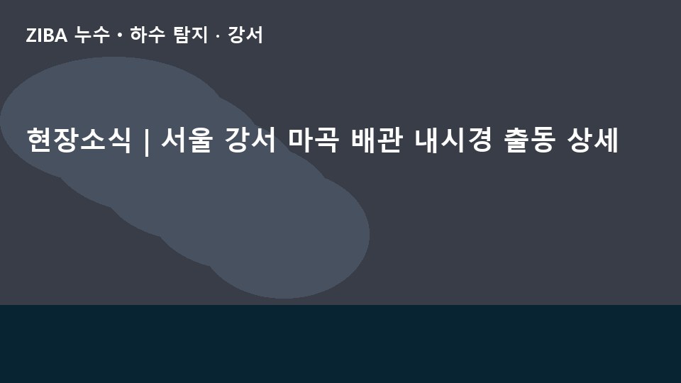 현장소식 | 서울 강서 마곡 배관 내시경 출동 상세