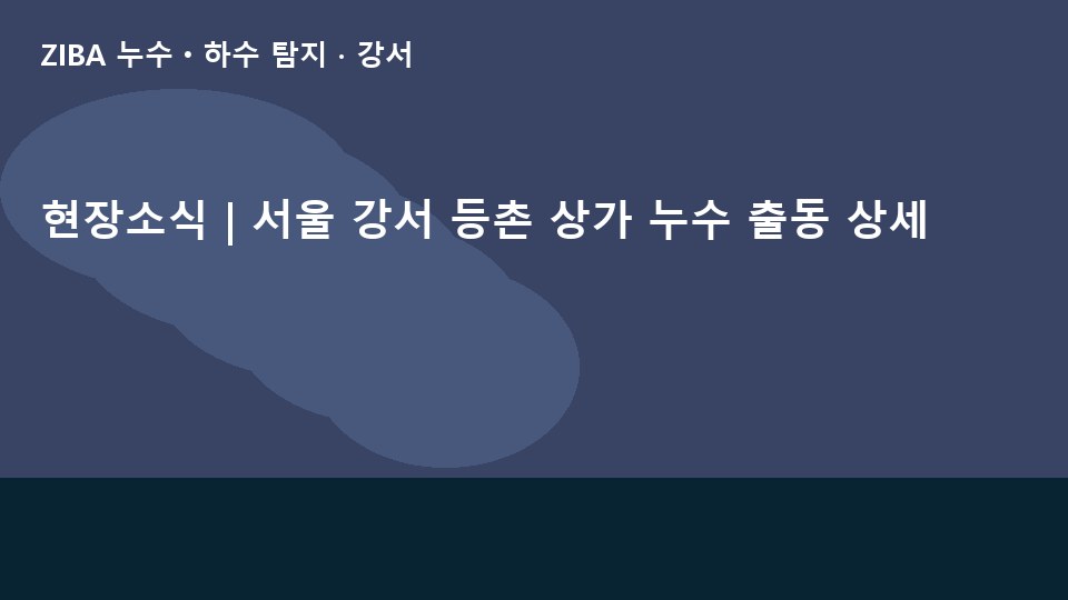 현장소식 | 서울 강서 등촌 상가 누수 출동 상세
