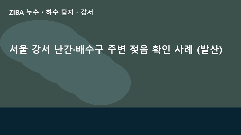 서울 강서 난간·배수구 주변 젖음 확인 사례 (발산)