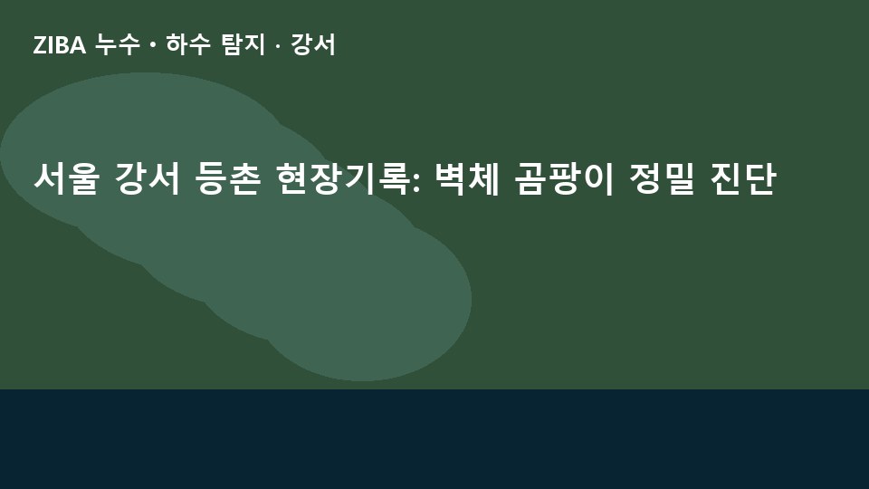 서울 강서 등촌 현장기록: 벽체 곰팡이 정밀 진단