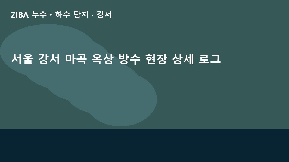 서울 강서 마곡 옥상 방수 현장 상세 로그